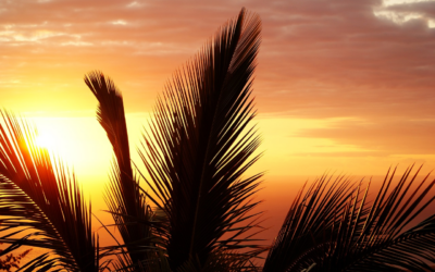 Bien preparer votre escapade a La Reunion