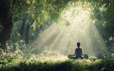 Olness et l&rsquo;optimisation budgétaire : un atout majeur pour les structures sportives d&rsquo;Annecy